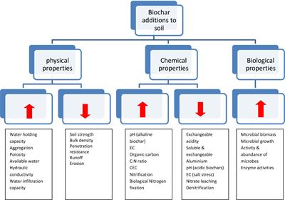 A review on biochar’s effect on soil properties and crop growth